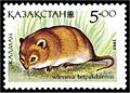 Selevinia betpakdalaensis