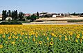 Soria (provincia) 2003 01