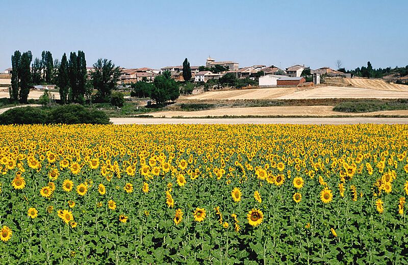 Soria (provincia) 2003 01