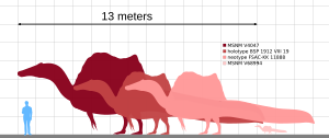Archivo:Spinosaurus size comparison