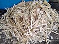 Sugarcane bagasse