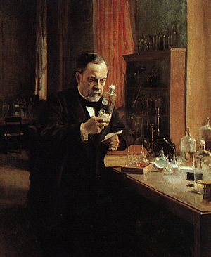 Archivo:Tableau Louis Pasteur