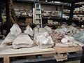 Trabajo paleontologico en el MEF 01