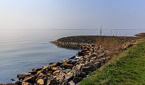 Archivo:Versterkt talud. Locatie. Haven van Laaxum 002