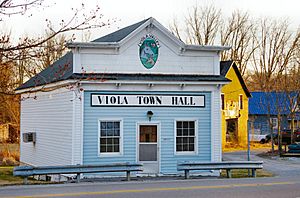 Viola-town-hall-tn1.jpg