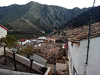 Vista de la Cocha desde Embid