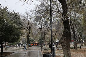 Archivo:Winter day in Alameda Park, Monterrey