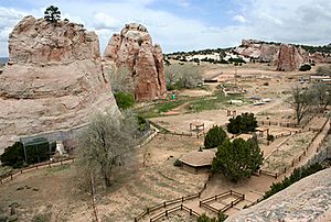 Archivo:ZooBotanicalNavajo