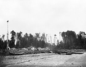 Abandoned Haida village of Dadens on Langara Island, British Columbia (268).jpg
