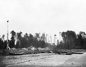 Archivo:Abandoned Haida village of Dadens on Langara Island, British Columbia (268)
