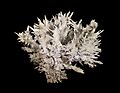 Aragonite Salsigne France