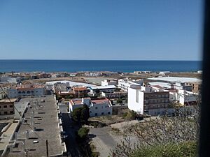 Archivo:Balanegra