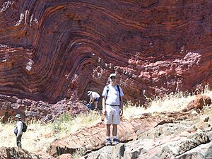 Archivo:Banded Iron Formation of Hamersley Range DSCN2938