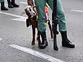 Cabra de la Legión Española, mascota del desfile del 12 de octubre de 2015 en Madrid