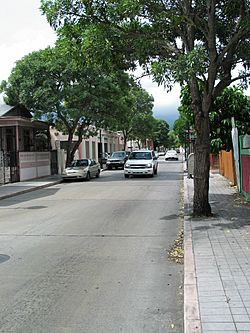 Calle Mayor Cantera (PR-503), en Barrio Sexto, en Ponce, PR, mirando hacia el norte (IMG 3684).jpg