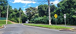 Carretera PR-861, Bayamón, Puerto Rico (1).jpg