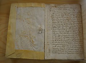 Archivo:Carta puebla de Lugar Nuevo de San Jerónimo