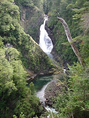 Archivo:Cascada Chachin PN Lanin