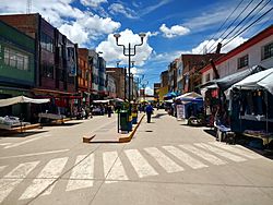 Archivo:Desaguadero (Perú) 1