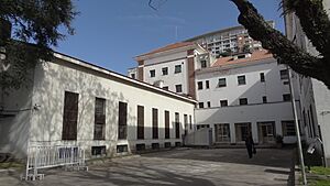 Archivo:Editaton para la memoria (17)