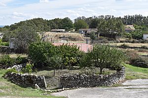 Archivo:El Tornadizo - vista e curro