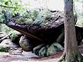 Felsenlabyrinth 20 (9) db
