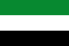 Flag of Hatonuevo (La Guajira).svg
