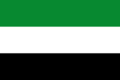 Flag of Hatonuevo (La Guajira)