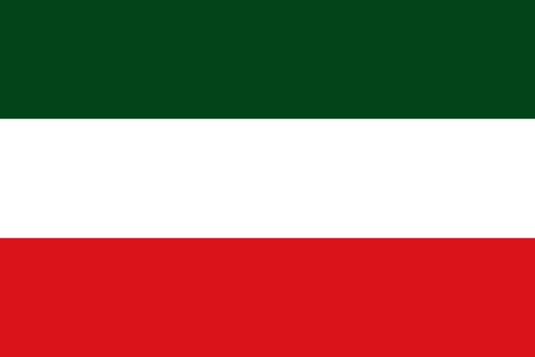 Archivo: Flag of Tame (Arauca)