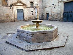 Archivo:Font de la plaça de Sant Felip Neri