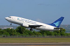 Archivo:Garuda Indonesia Boeing 737-500 Pichugin-1