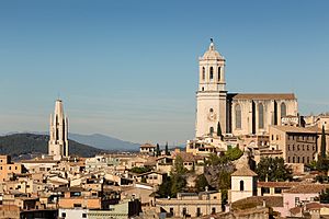 Archivo:Girona - Catedral de Girona 24 2016-11-16