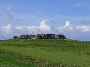 Archivo:Hallig Hooge 2005