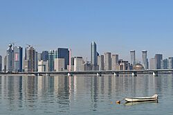 Hangzhou CBD (Cropped).jpg