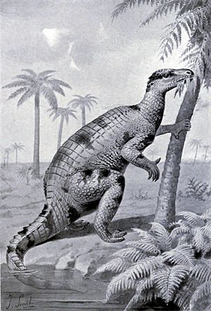 Archivo:Iguanodon feeding