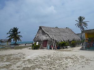 Archivo:Kuna yala