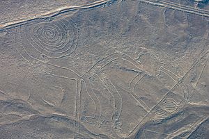 Archivo:Líneas de Nazca, Nazca, Perú, 2015-07-29, DD 49