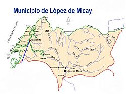 López de Micay.jpg