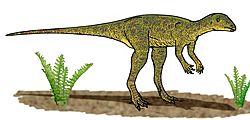Lesothosaurus ER670.JPG