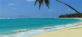 Long White Sand Beach Uncrowded In The Caribbean (188395989).jpeg