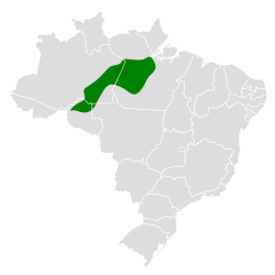Distribución geográfica del hormiguero del Tapajós.
