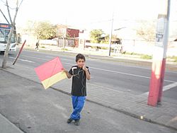 Archivo:Niño posa con su volantín atrapado