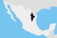 Archivo:Nuevo León en México