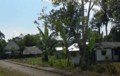 Nuevo Rocafuerte, Orellana, Ecuador