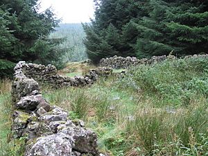Archivo:Old enclosure in the forest - geograph.org.uk - 261019