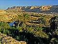 Oman-Oasis