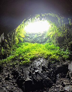 Archivo:Other hole from the trench To Sua Ocean Trench Samoa