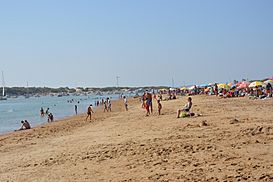 Playa de Sancti Petri2013 03.JPG