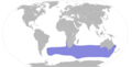 Pterodroma macroptera map
