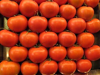 Archivo:Ripe tomatoes